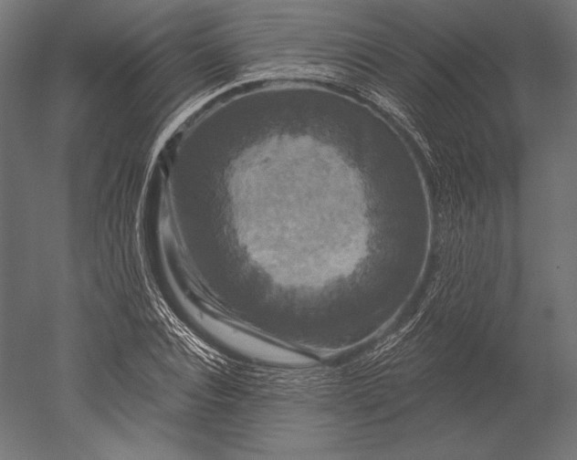 X0000051260928200507011714