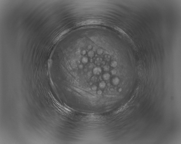 X0000051260929200507011715