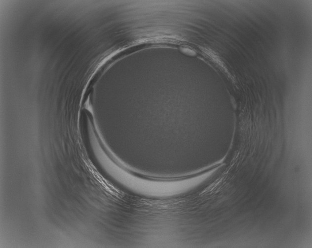 X0000051260932200507011715