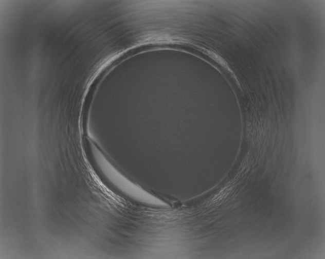 X0000051260935200507011715