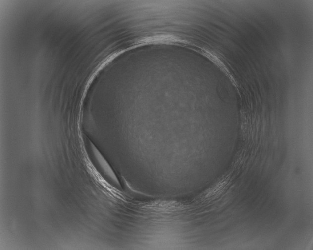 X0000051260939200507011715