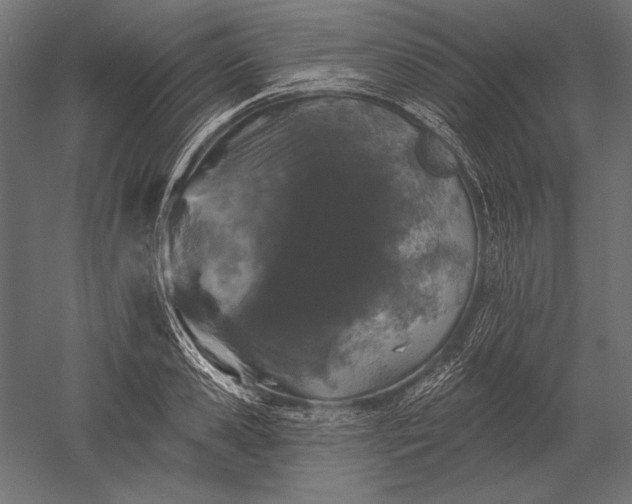 X0000051260941200507011715