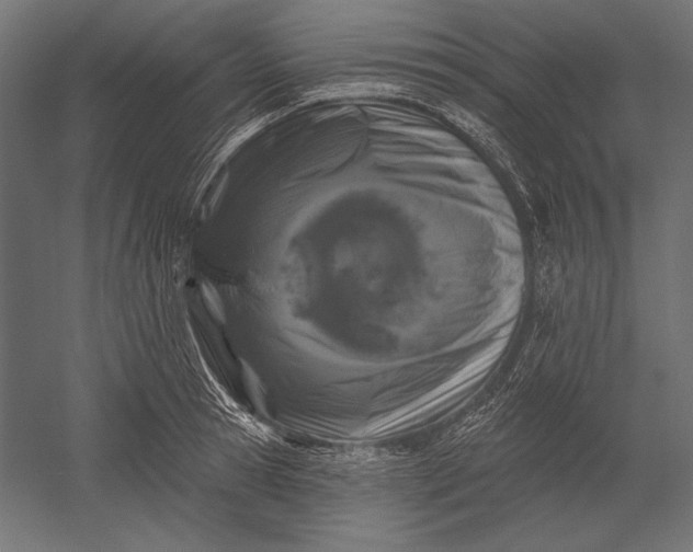 X0000051260945200507011715