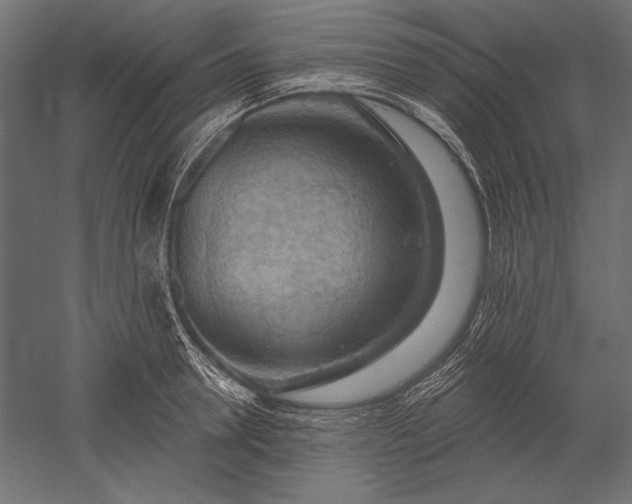 X0000051260946200507011715