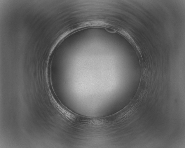X0000051260947200507011715