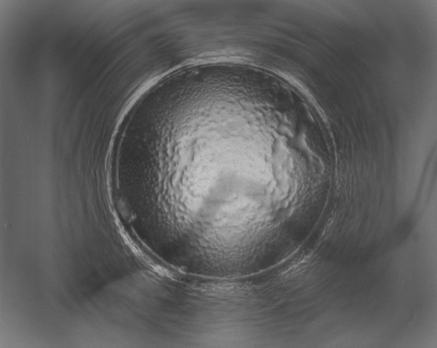 X0000051260949200507011715