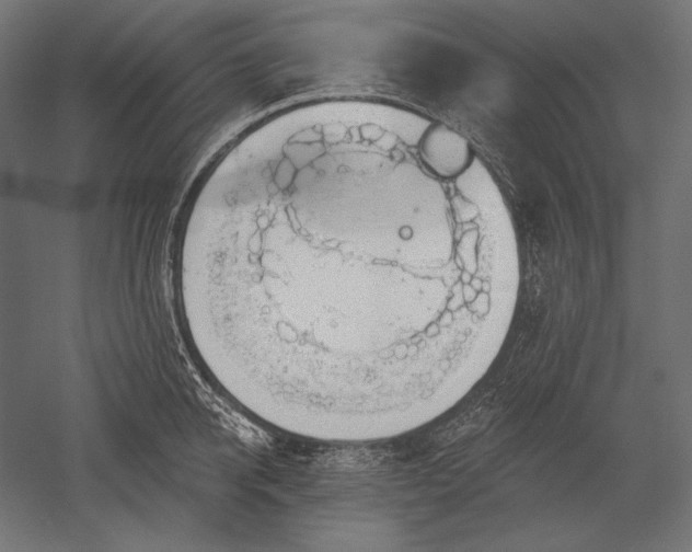 X0000051260950200507011715