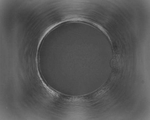 X0000051260951200507011715