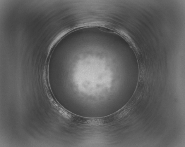 X0000051260952200507011715