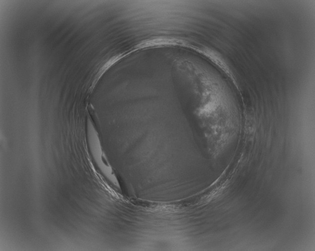 X0000051260953200507011715