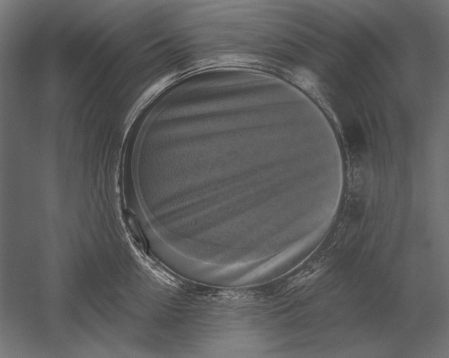 X0000051260954200507011715