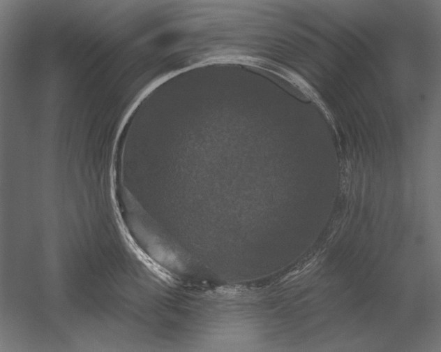 X0000051260955200507011715