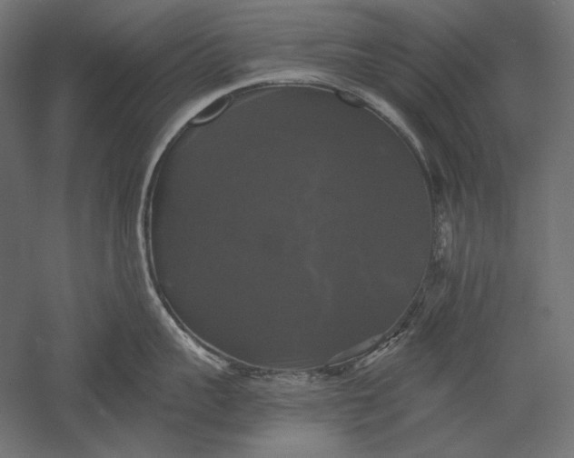 X0000051260959200507011715
