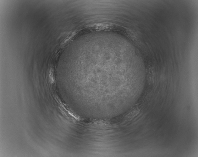 X0000051260962200507011714