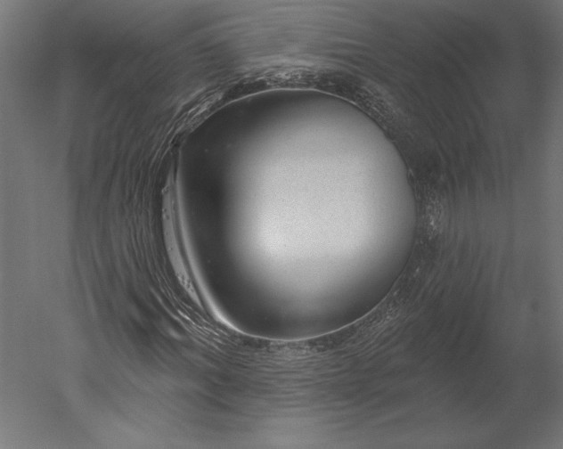 X0000051260964200507011714