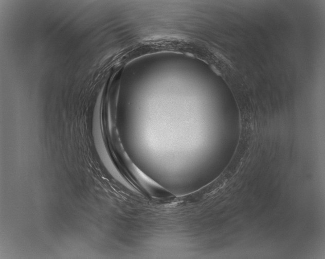 X0000051260965200507011714