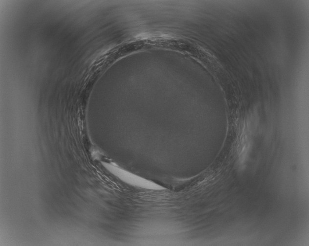 X0000051260966200507011714