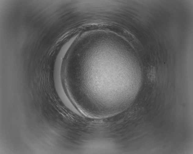 X0000051260968200507011714