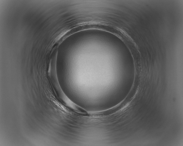 X0000051260969200507011714
