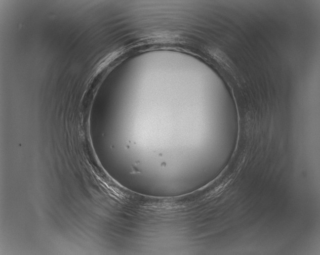 X0000051260970200507011714