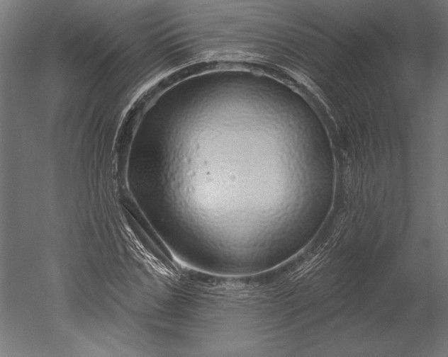 X0000051260971200507011714