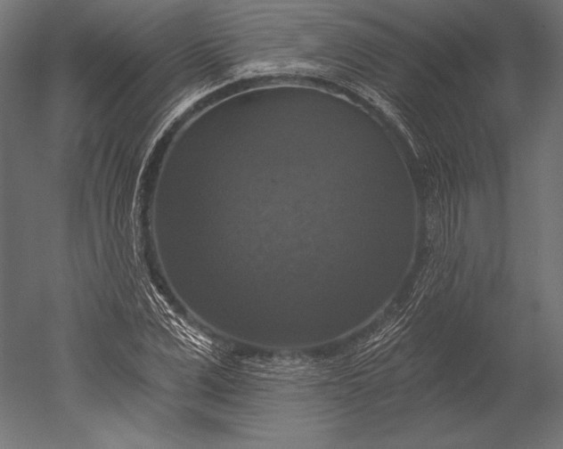 X0000051260975200507011714