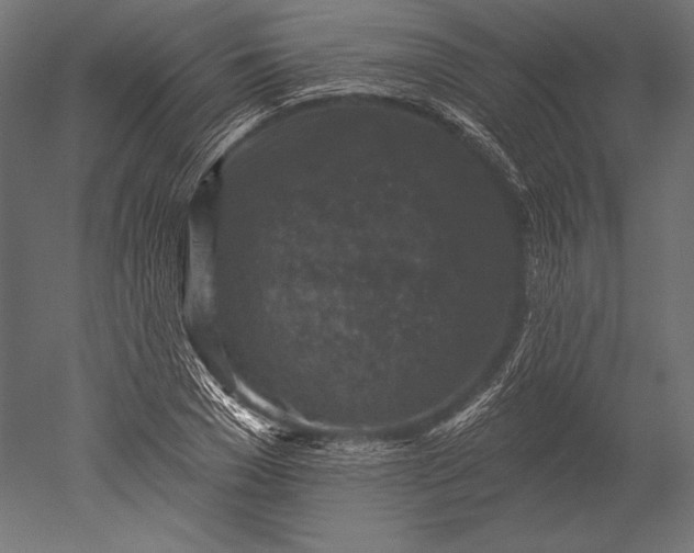 X0000051260977200507011714