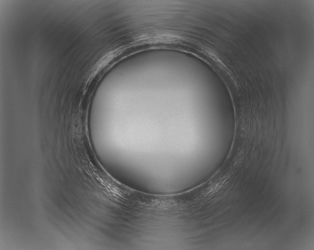 X0000051260978200507011714