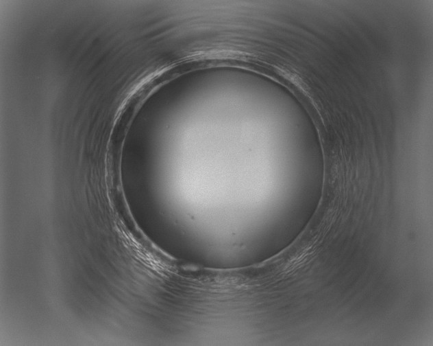 X0000051260979200507011714