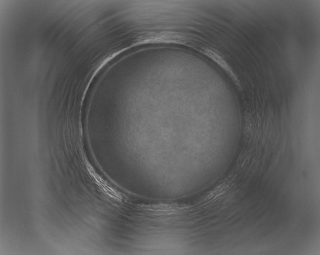 X0000051260980200507011714