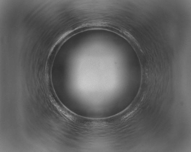 X0000051260981200507011714