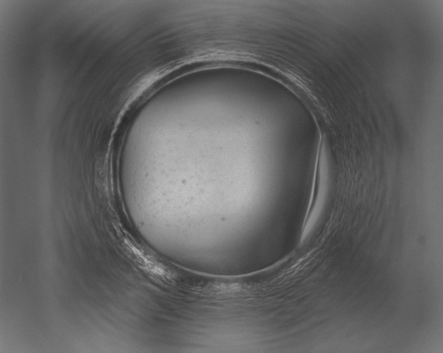 X0000051260982200507011714