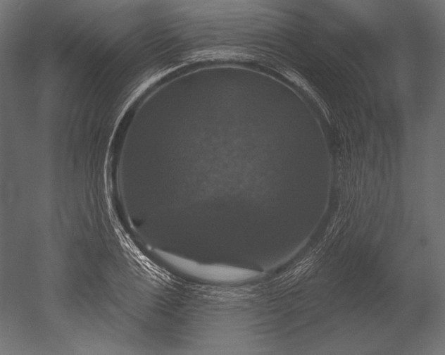 X0000051260983200507011714
