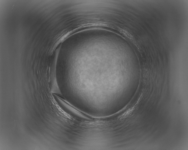 X0000051260985200507011714