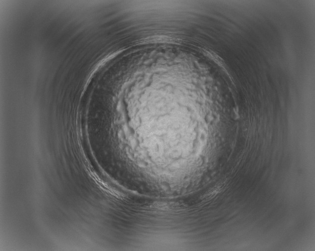 X0000051260987200507011714