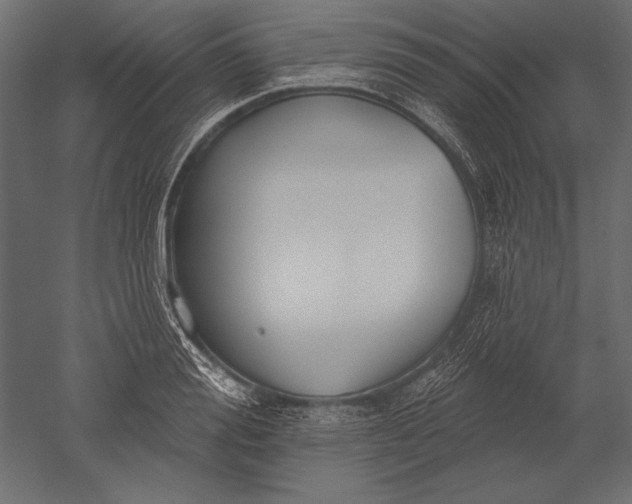 X0000051260988200507011714