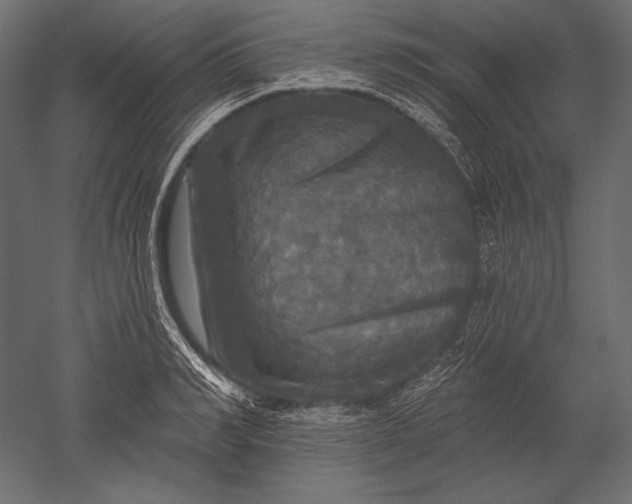 X0000051260990200507011714