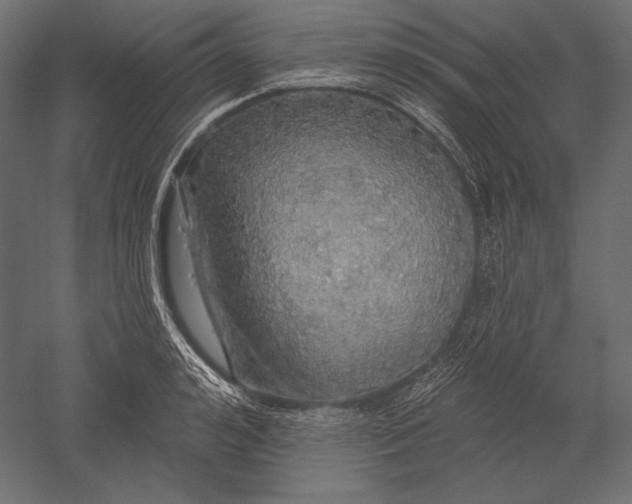 X0000051260992200507011714