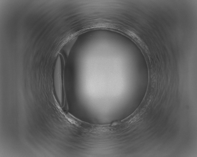 X0000051260993200507011714