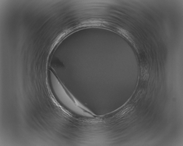 X0000051260994200507011714