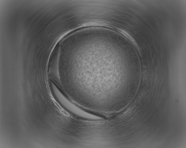 X0000051260996200507011714
