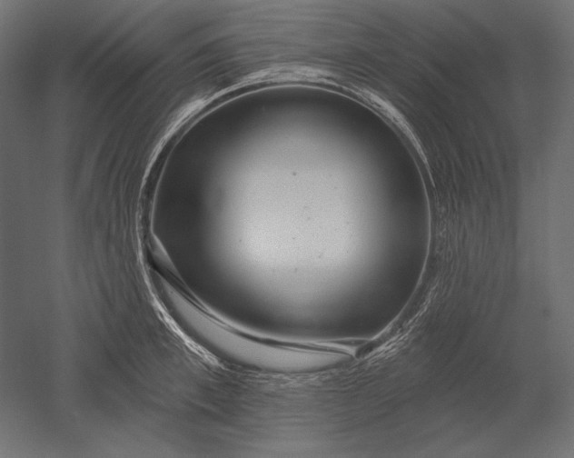 X0000051260997200507011714