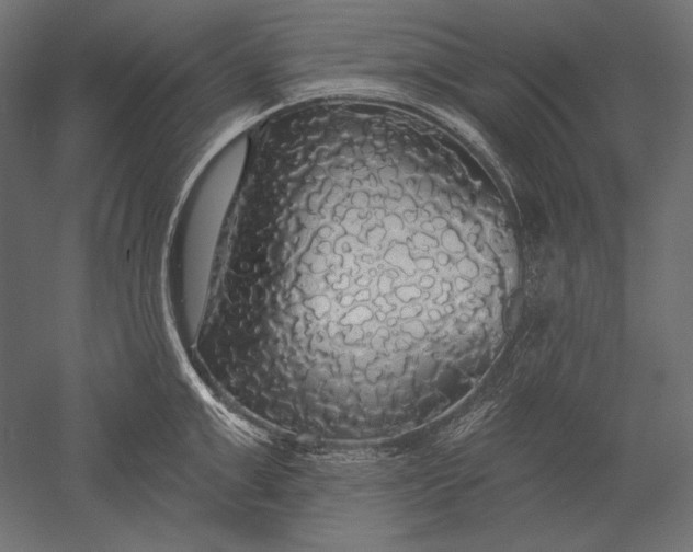 X0000051260999200507011714
