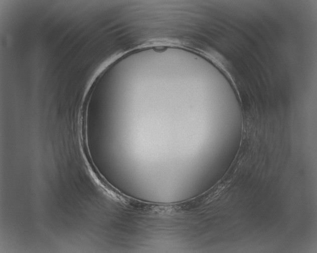 X0000051261003200507011713