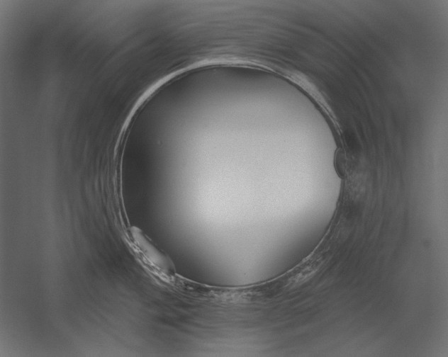 X0000051261004200507011713