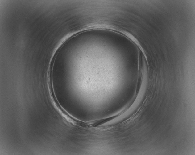 X0000051261005200507011713