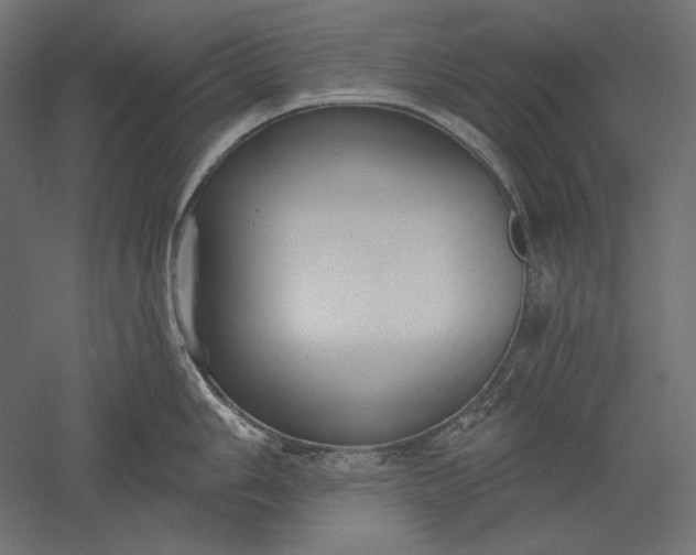 X0000051261006200507011713