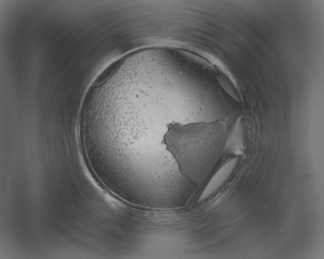 X0000051261007200507011713