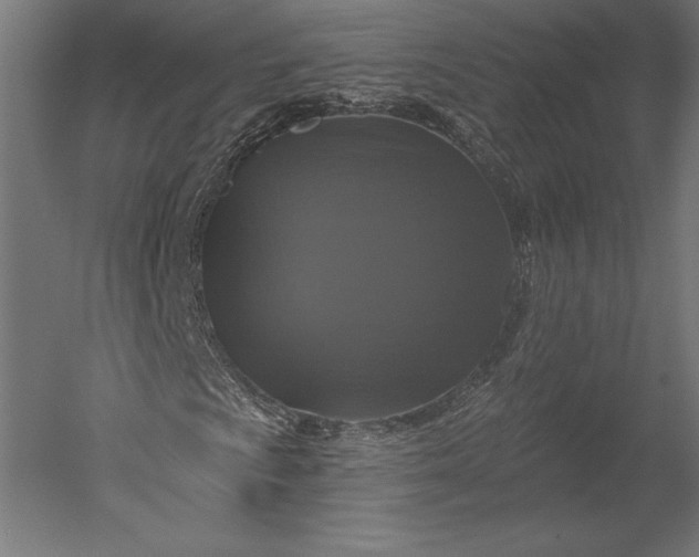 X0000051261009200507011713