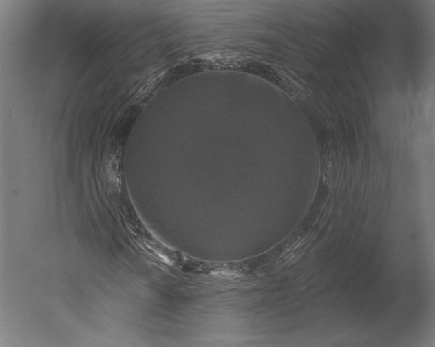 X0000051261010200507011713